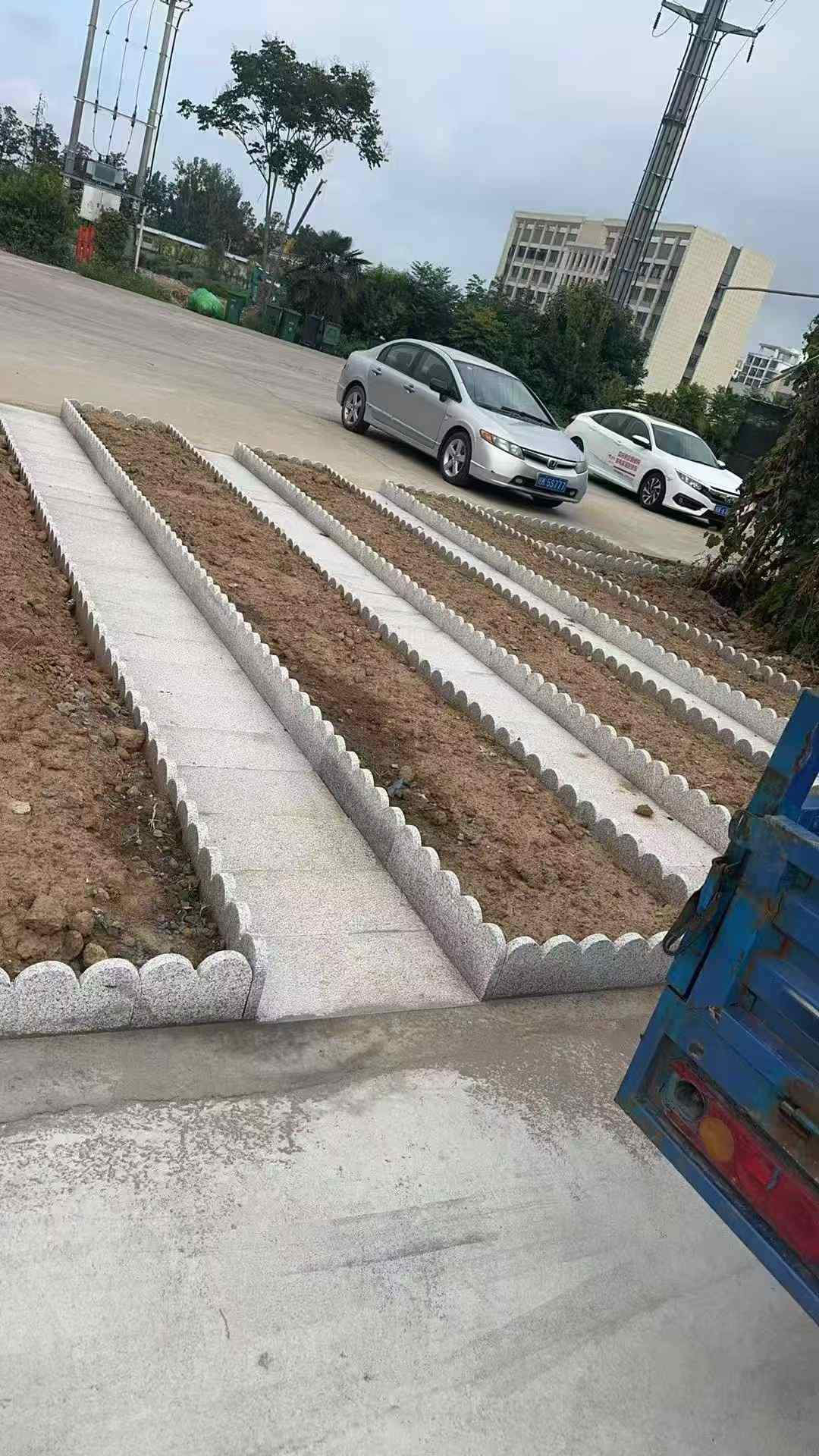 汕头芝麻白花边石