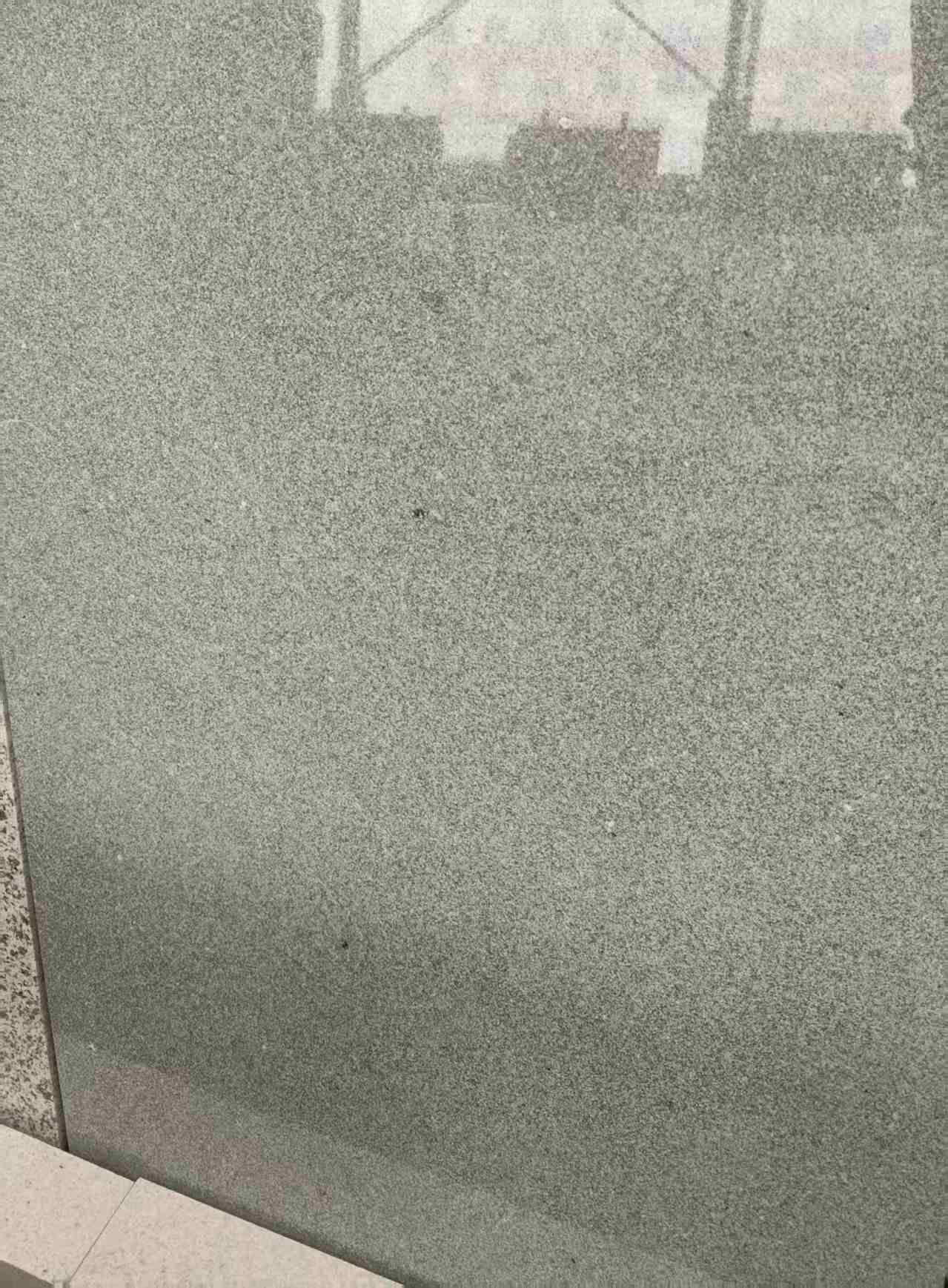 汕头芝麻灰 地铺石 干挂